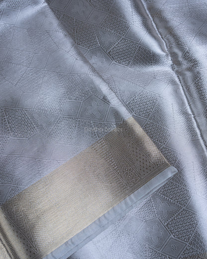Liquid Silver - Silver Color Handwoven Pure Mulberry Brocade Silk Saree
