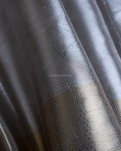 Liquid Silver - Silver Color Handwoven Pure Mulberry Brocade Silk Saree
