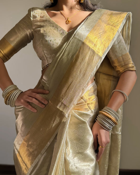 Liquid Silver - Silver Color Handwoven Pure Mulberry Brocade Silk Saree