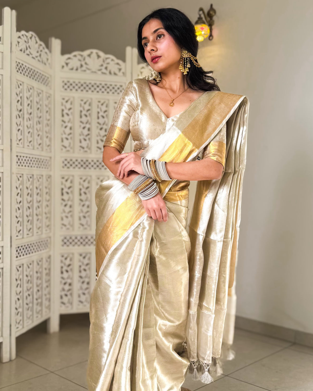 Liquid Silver - Silver Color Handwoven Pure Mulberry Brocade Silk Saree