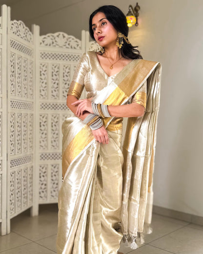Liquid Silver - Silver Color Handwoven Pure Mulberry Brocade Silk Saree