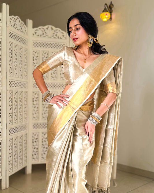 Liquid Silver - Silver Color Handwoven Pure Mulberry Brocade Silk Saree